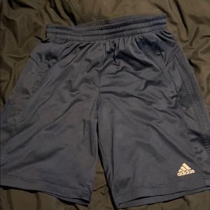 Adidas Climalite Shorts